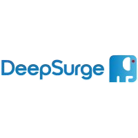 Deepsurge AI Logo